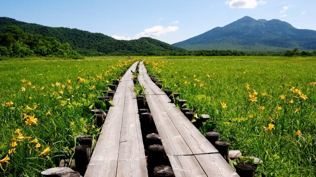 不登校の小中学生の将来に重要な2つの事！基礎学力と社会性を家で身に付けるには？