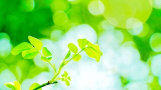 二十四節季をテーマにしてショートストーリーを書いてみました『春の季節』
